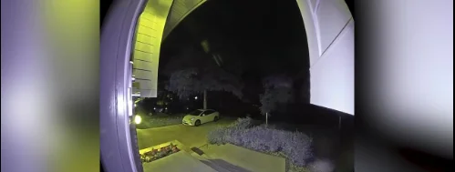 La telecamera riprende l'anima del cane